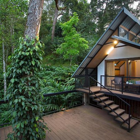 Bamboo Dale Resort, Munnar Luaran gambar