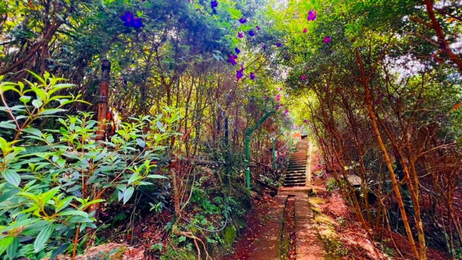 Bamboo Dale Resort, Munnar Luaran gambar