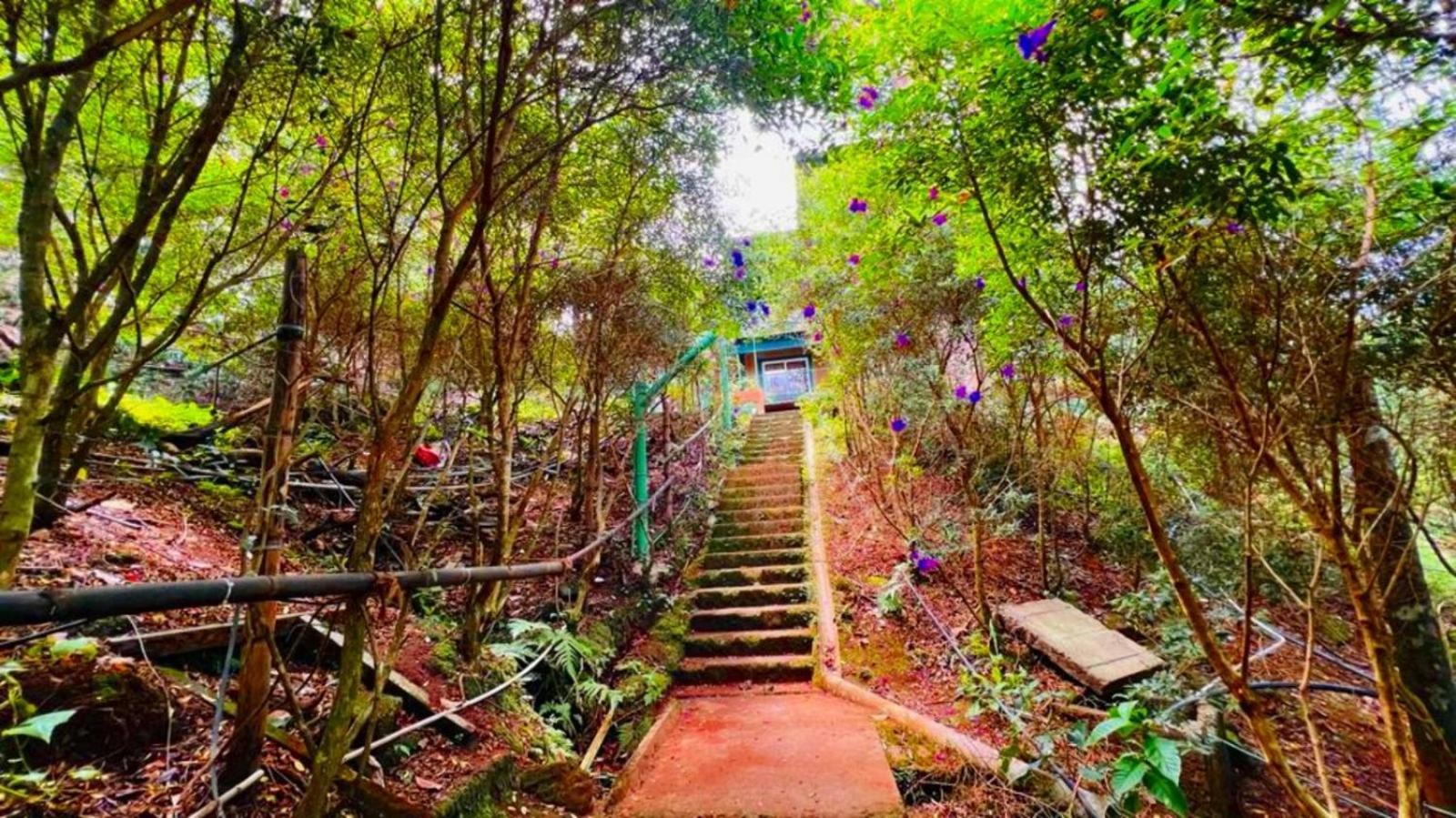 Bamboo Dale Resort, Munnar Luaran gambar
