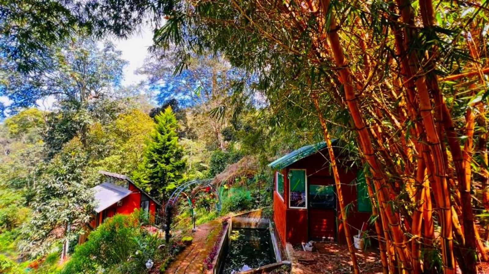 Bamboo Dale Resort, Munnar Luaran gambar