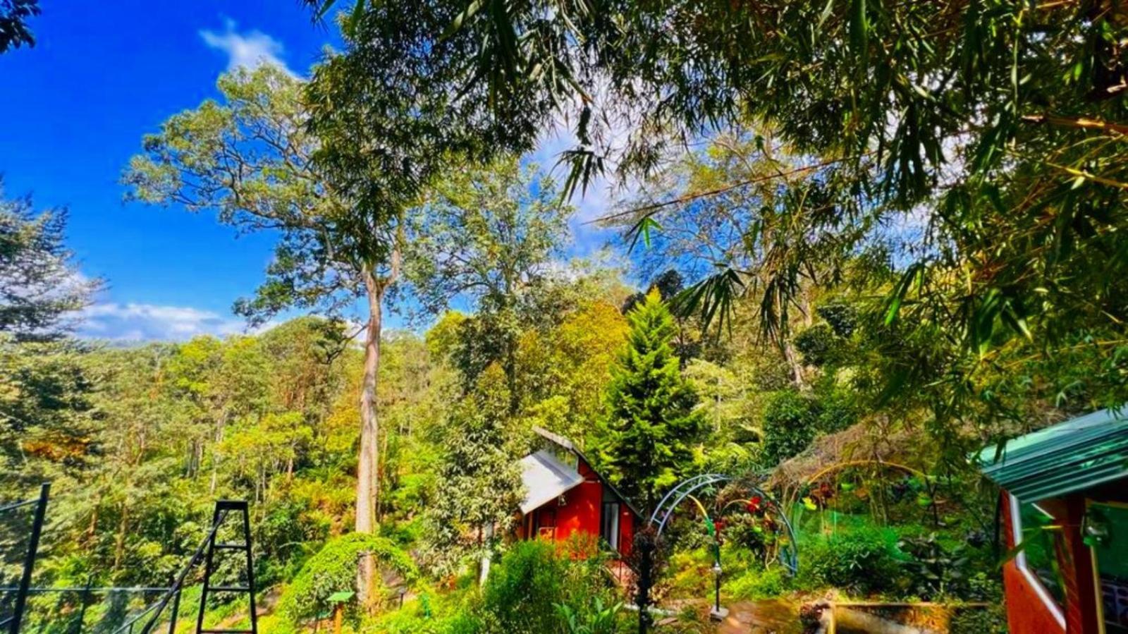 Bamboo Dale Resort, Munnar Luaran gambar