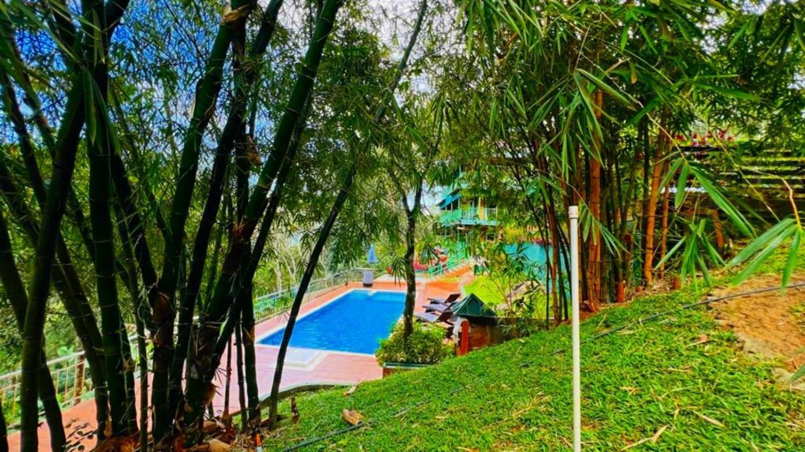 Bamboo Dale Resort, Munnar Luaran gambar