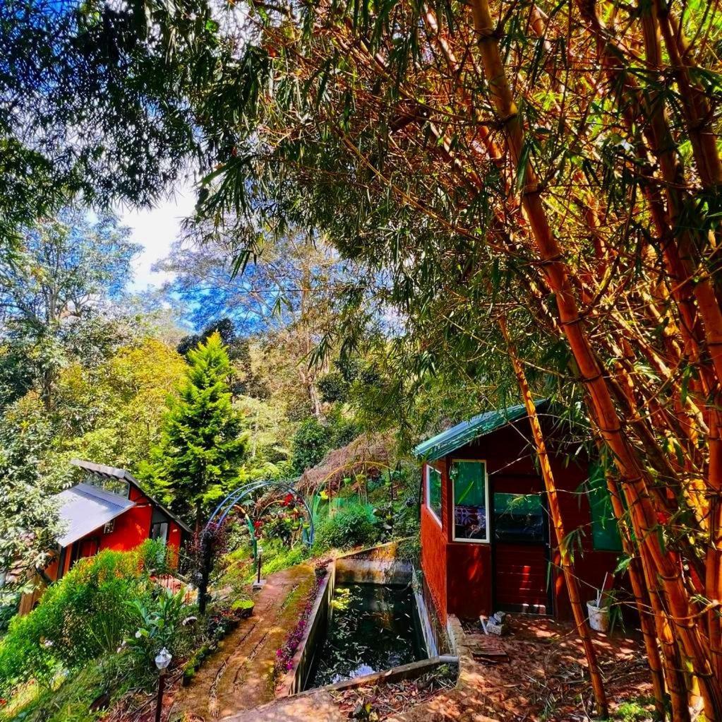 Bamboo Dale Resort, Munnar Luaran gambar