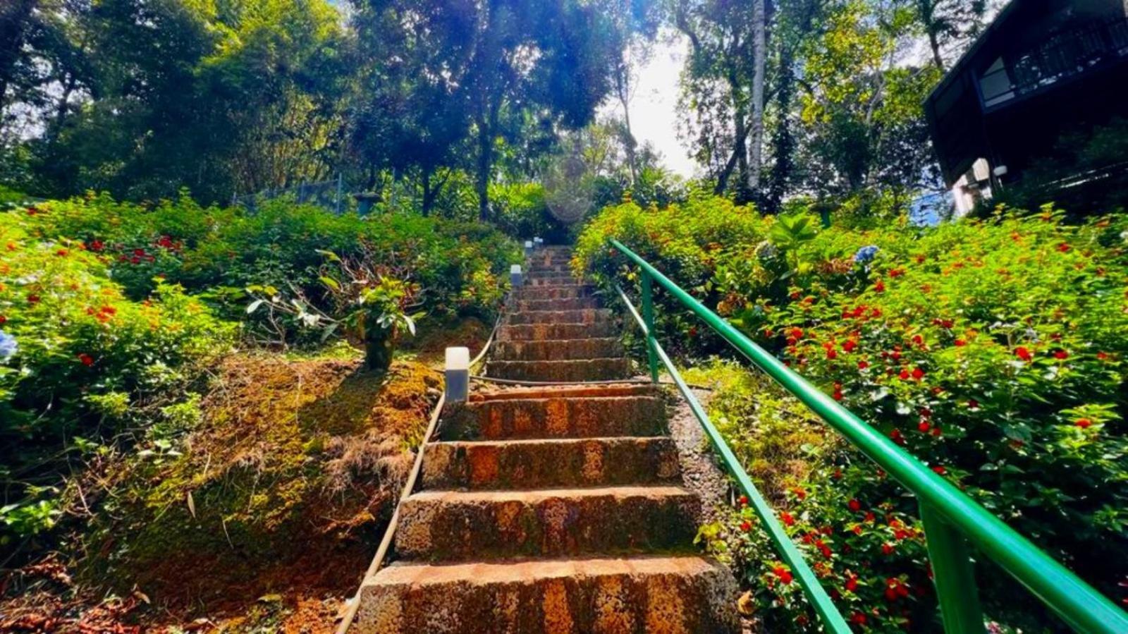 Bamboo Dale Resort, Munnar Luaran gambar