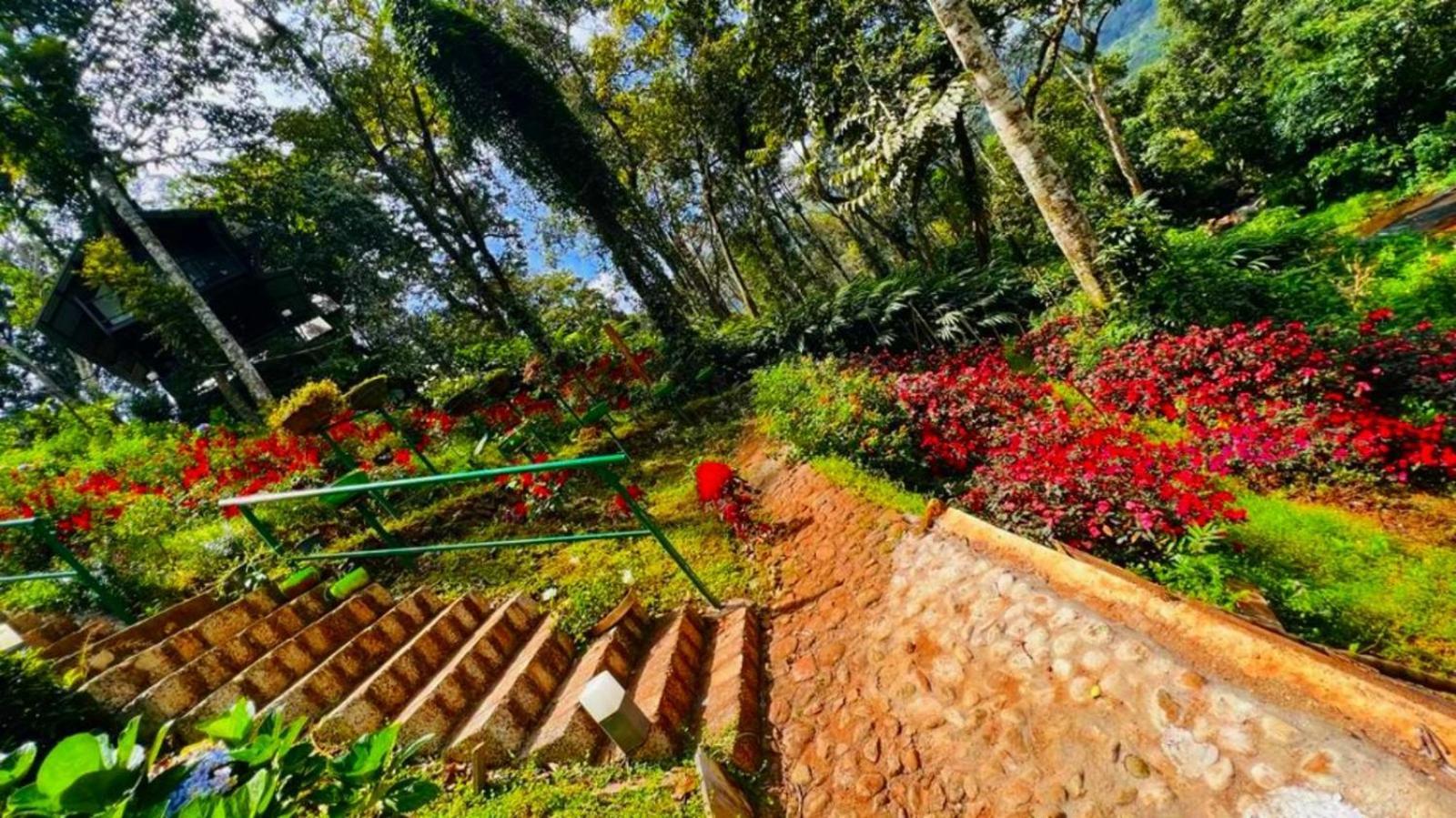Bamboo Dale Resort, Munnar Luaran gambar