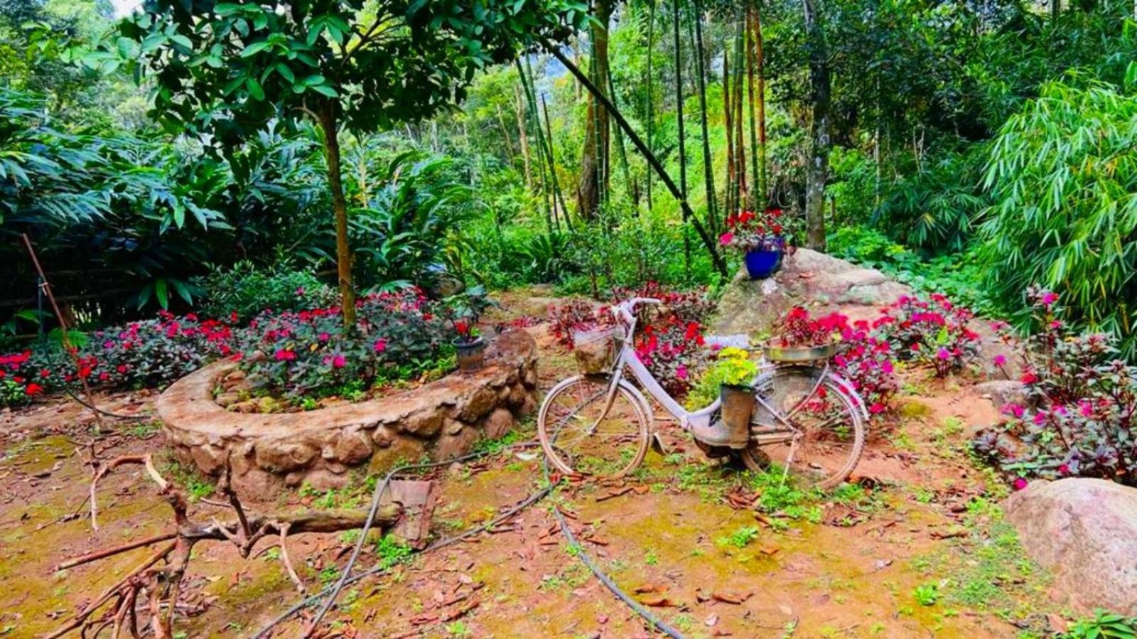 Bamboo Dale Resort, Munnar Luaran gambar