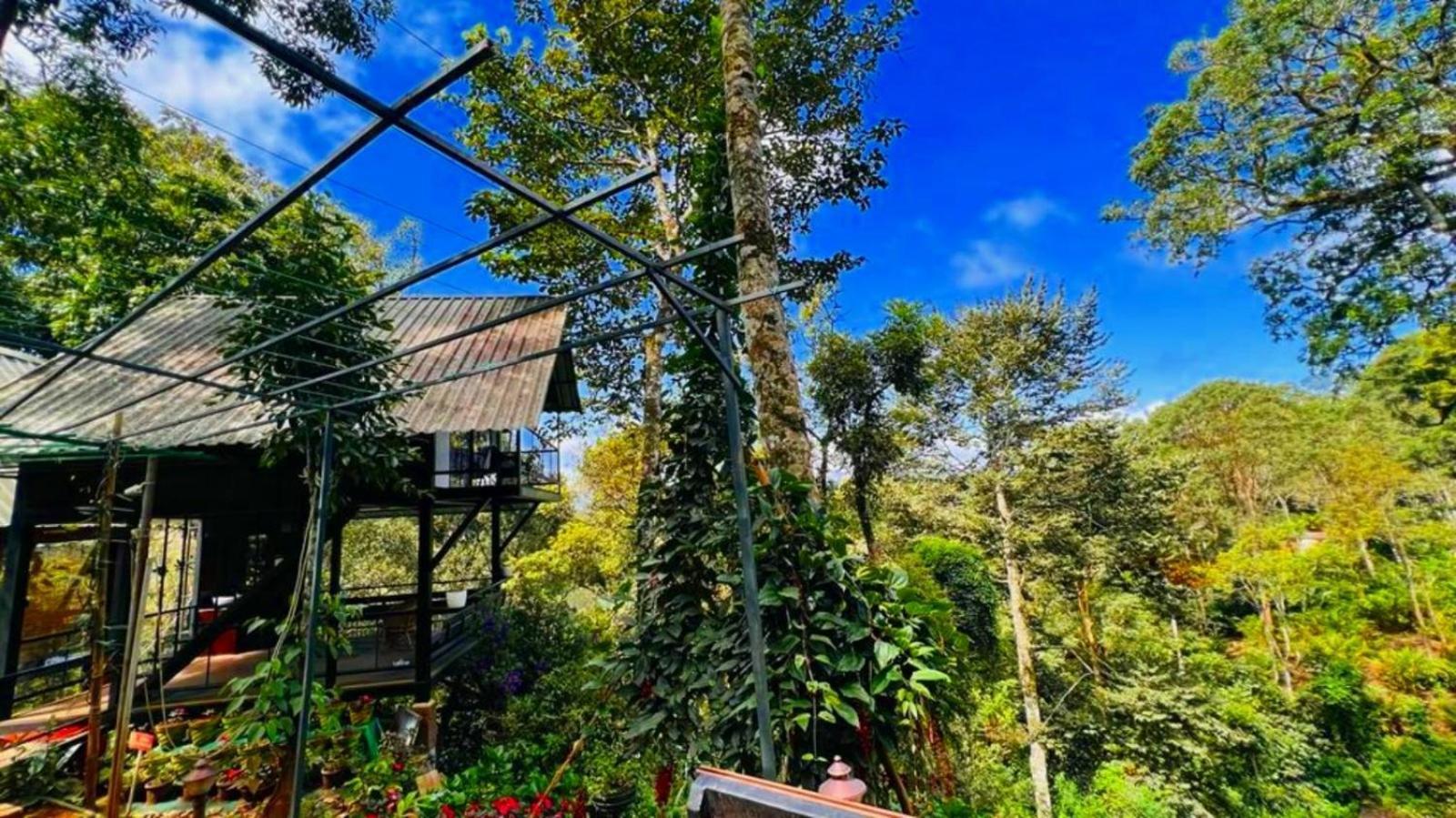 Bamboo Dale Resort, Munnar Luaran gambar