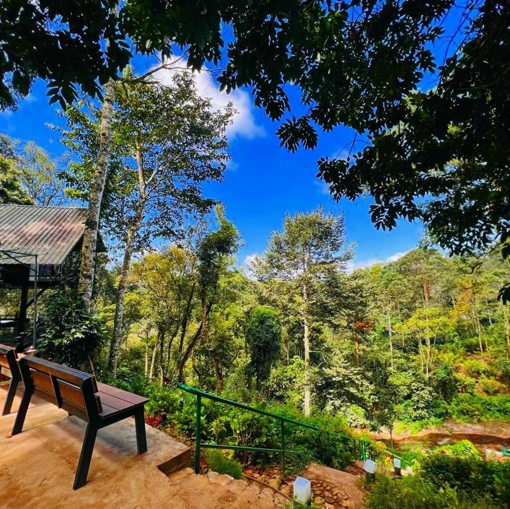 Bamboo Dale Resort, Munnar Luaran gambar