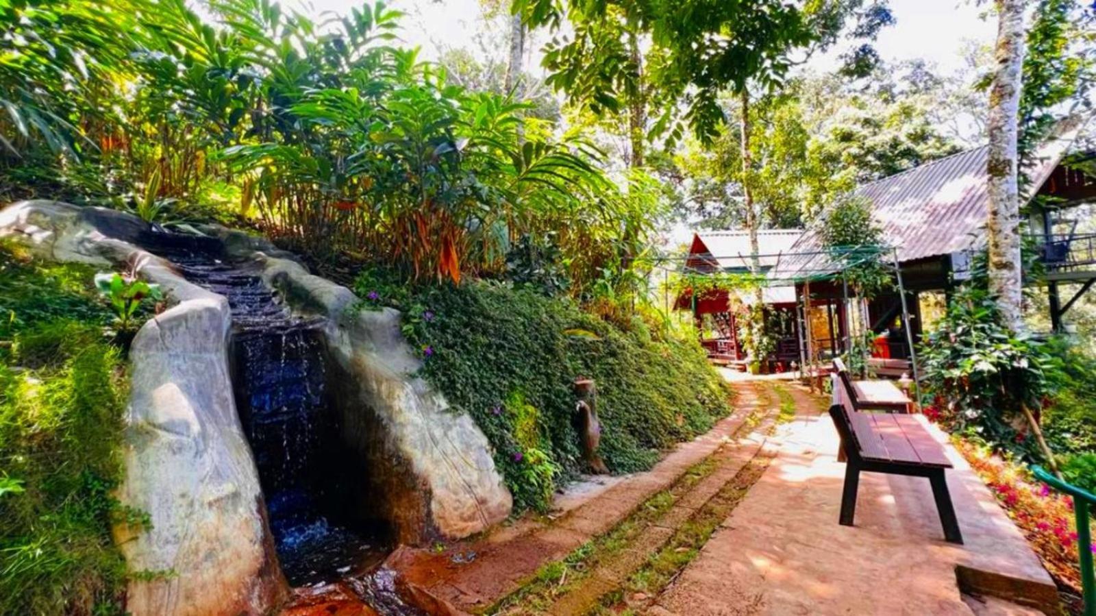 Bamboo Dale Resort, Munnar Luaran gambar