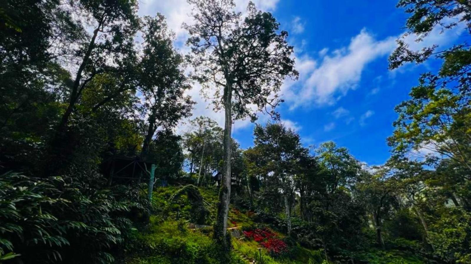 Bamboo Dale Resort, Munnar Luaran gambar