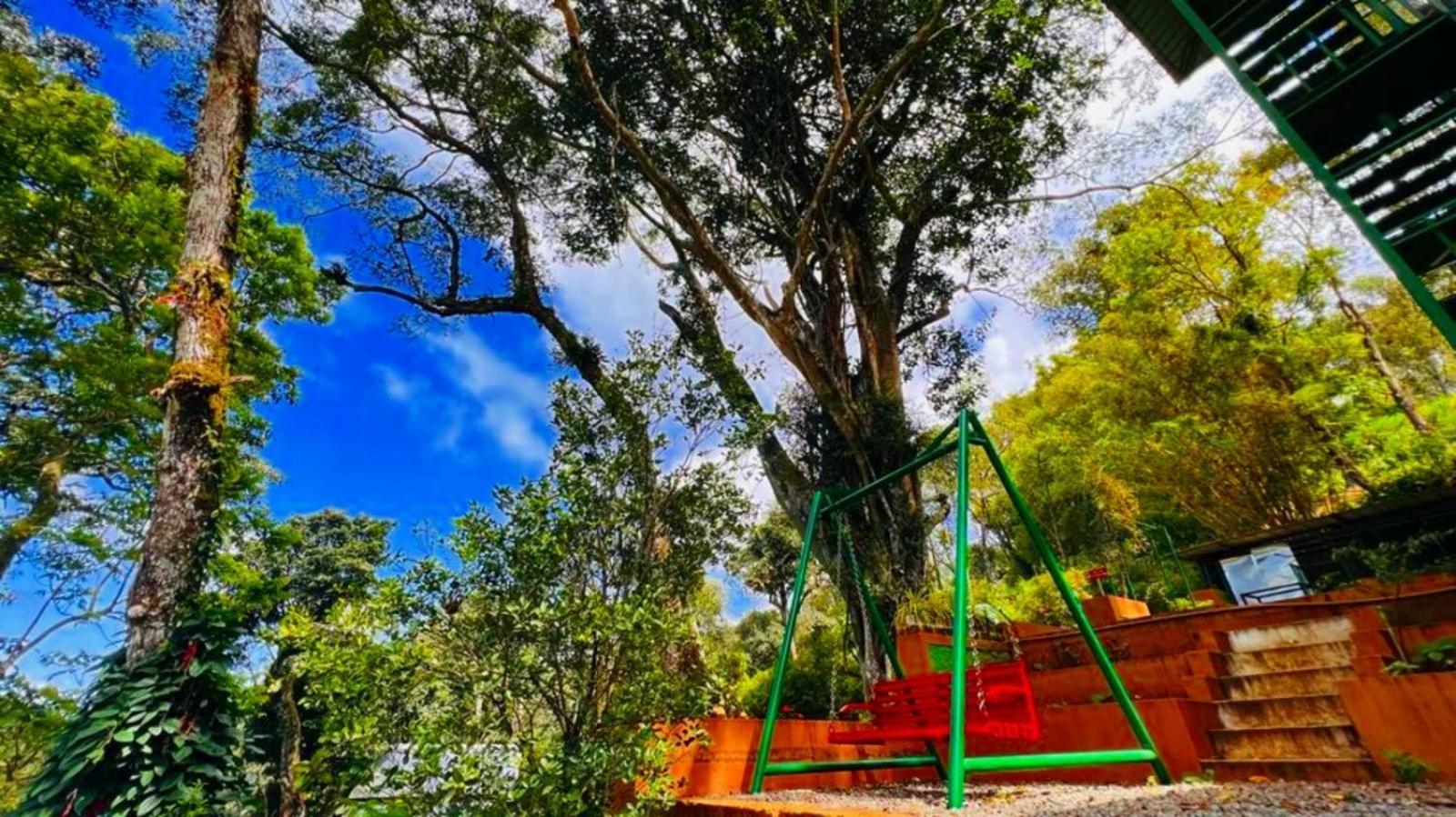 Bamboo Dale Resort, Munnar Luaran gambar