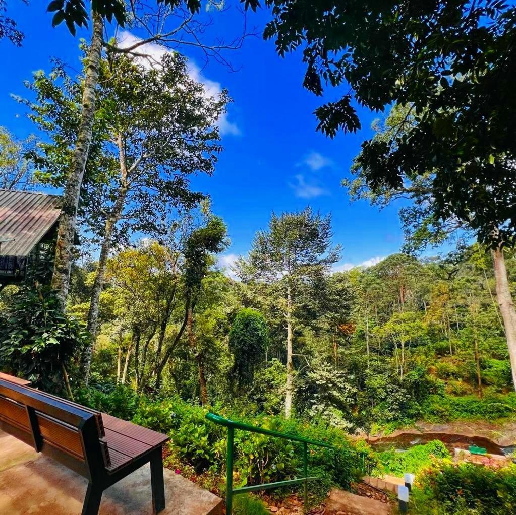 Bamboo Dale Resort, Munnar Luaran gambar