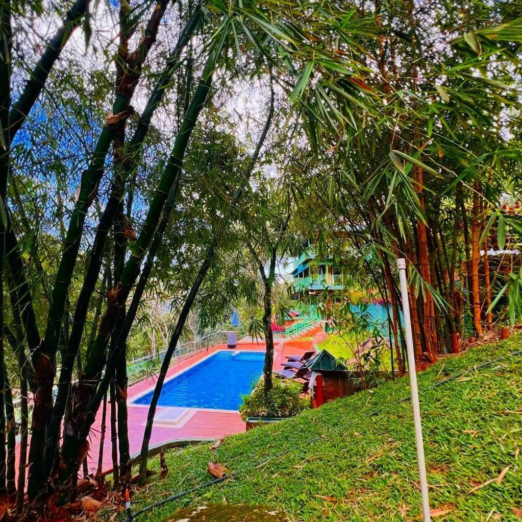 Bamboo Dale Resort, Munnar Luaran gambar
