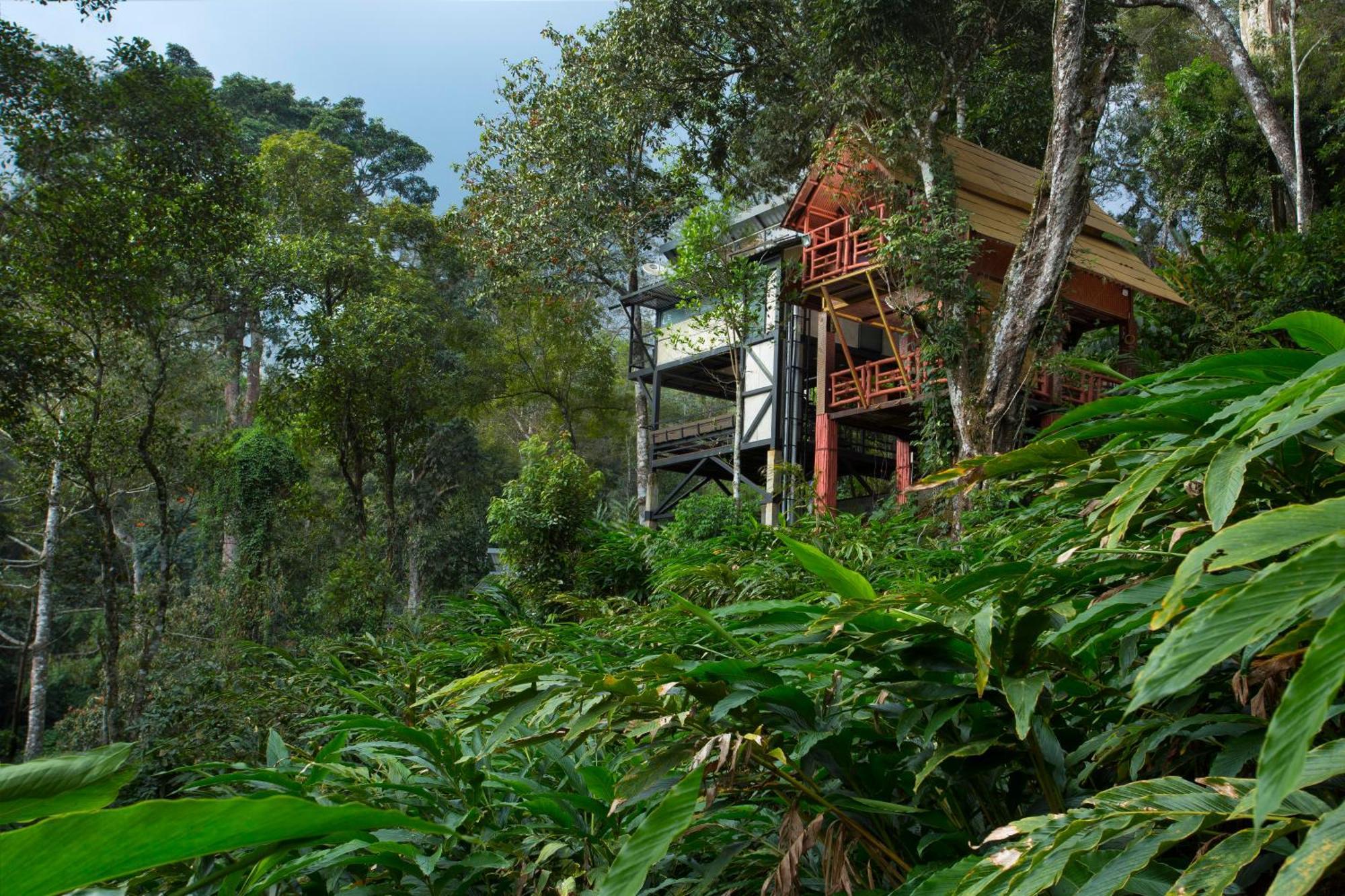 Bamboo Dale Resort, Munnar Luaran gambar