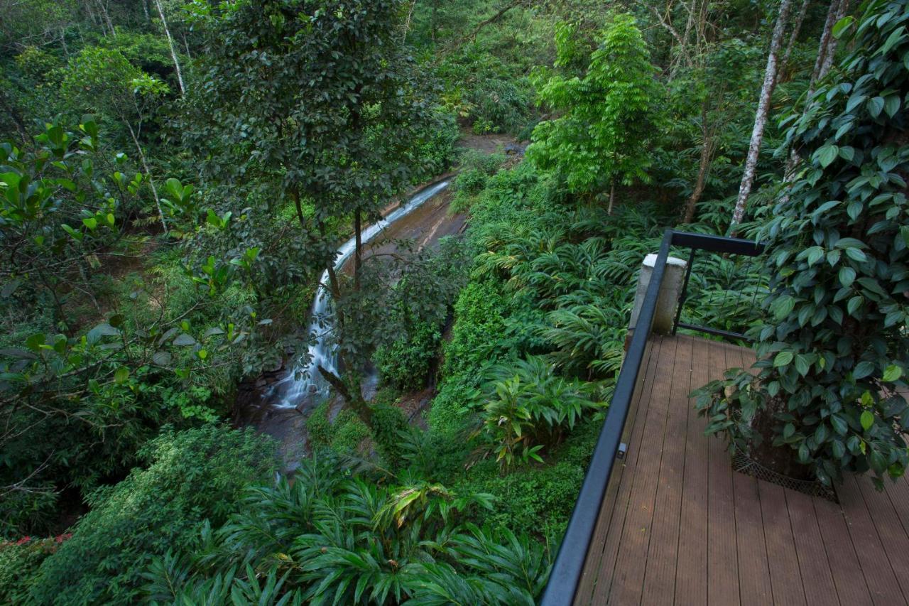 Bamboo Dale Resort, Munnar Luaran gambar